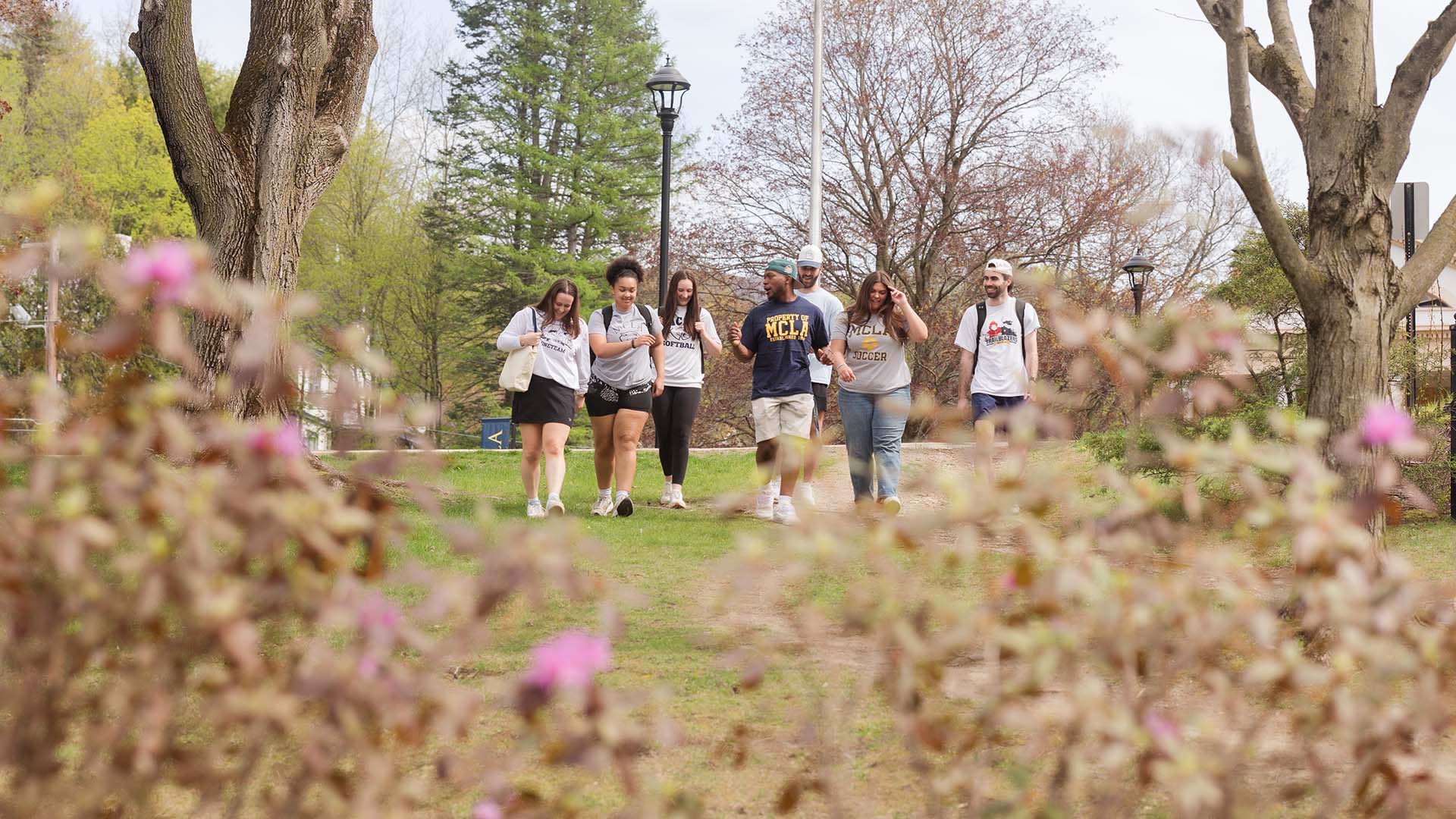 MCLA campus group of students walking across campus.